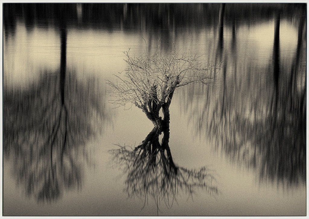 canvas_frame