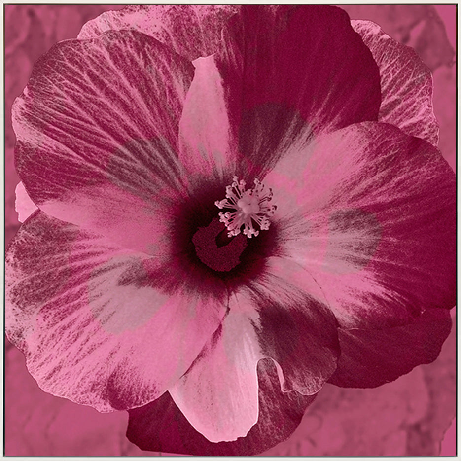 canvas_frame