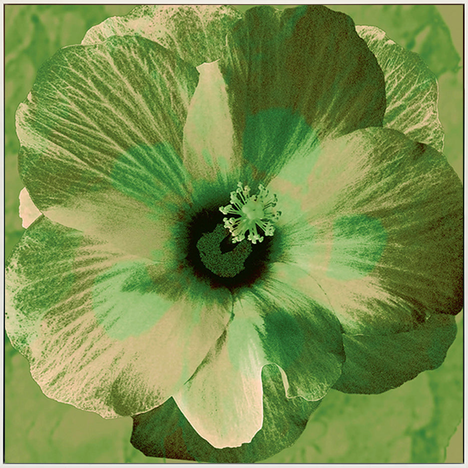 canvas_frame