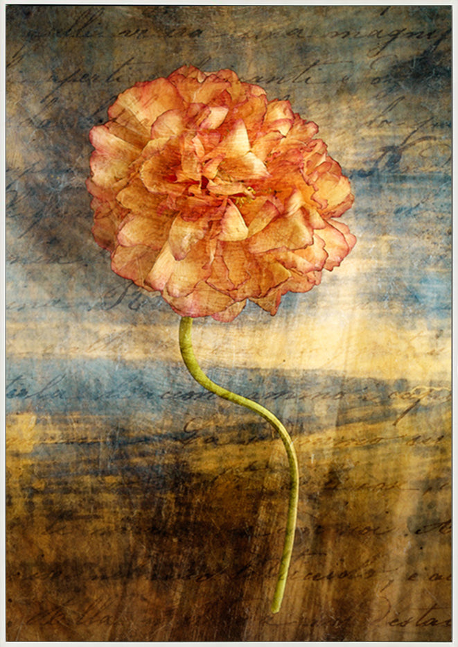 canvas_frame