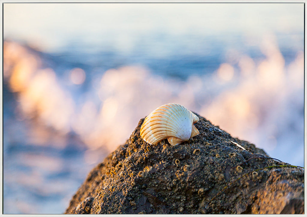 canvas_frame