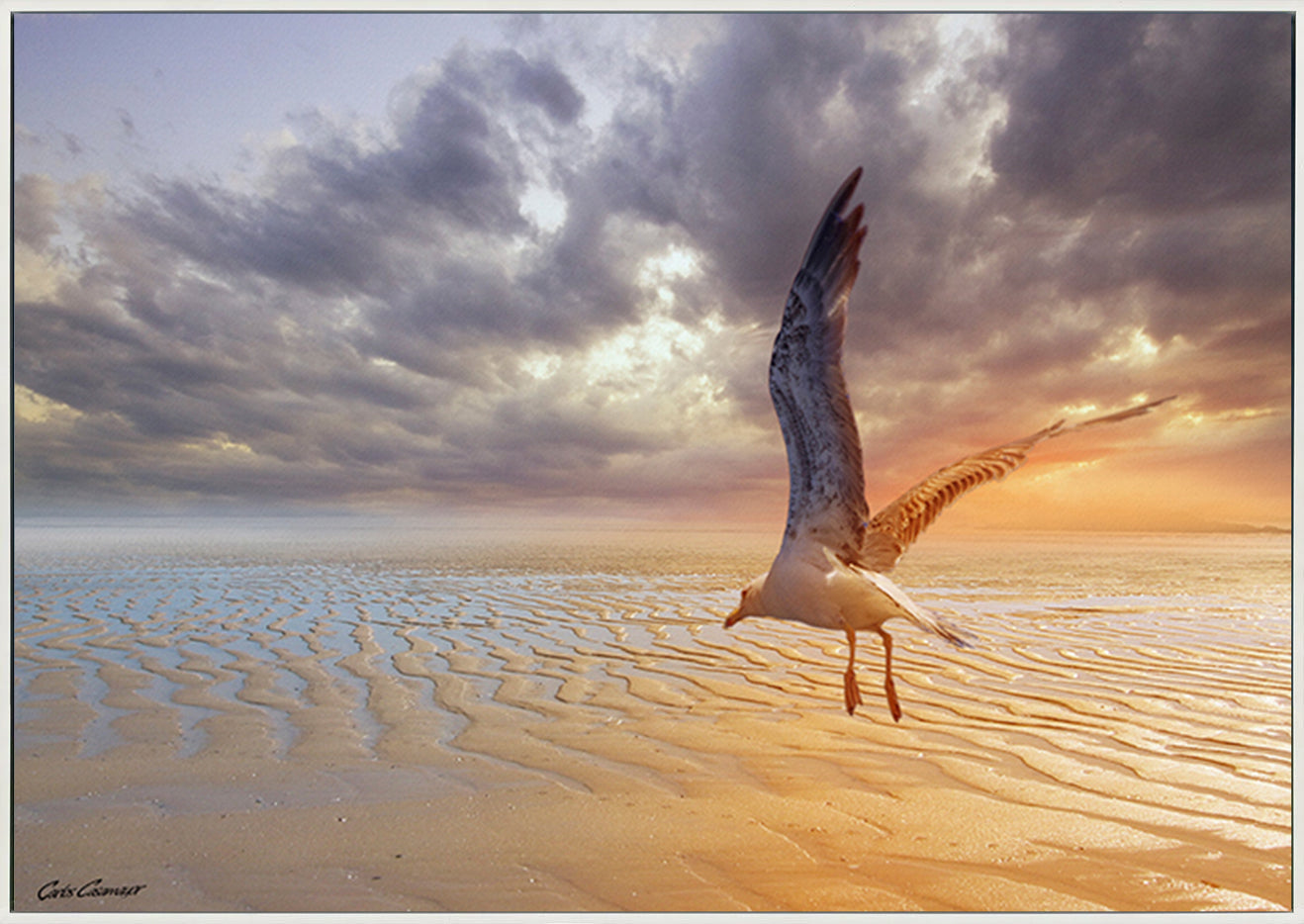 canvas_frame