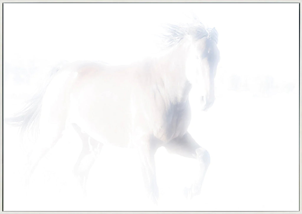 canvas_frame