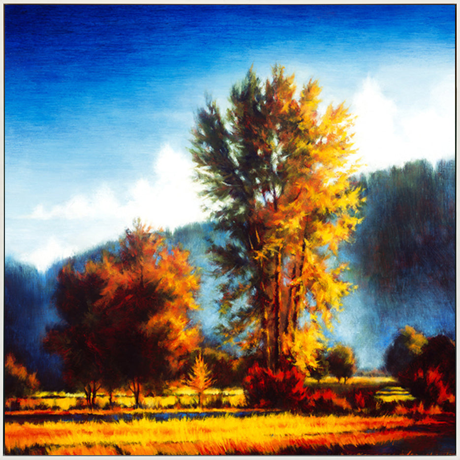 canvas_frame