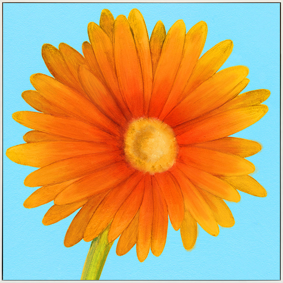 canvas_frame