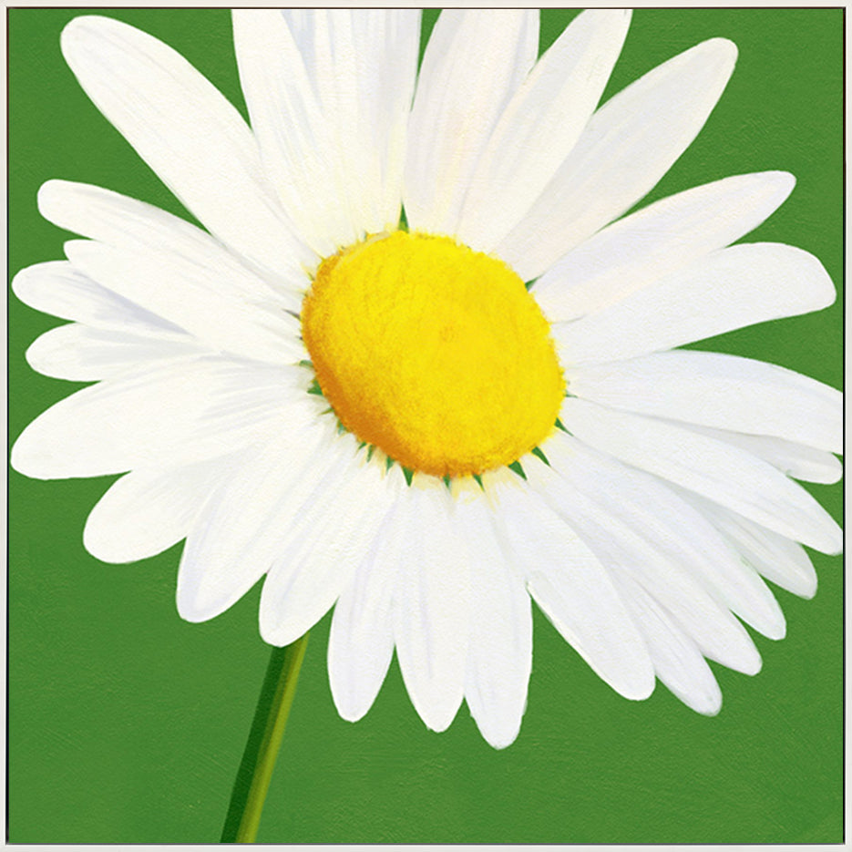 canvas_frame