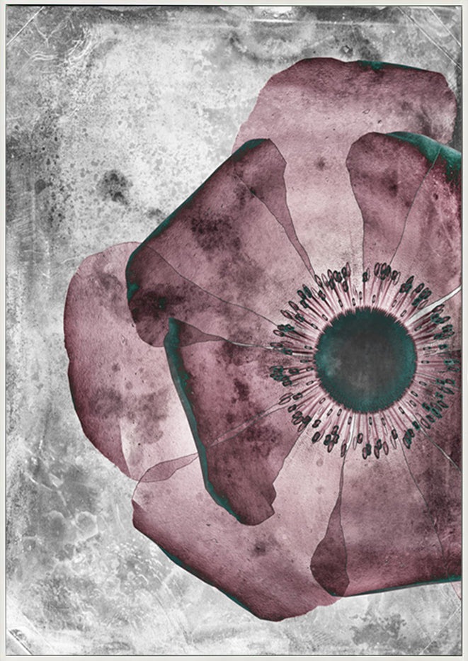 canvas_frame