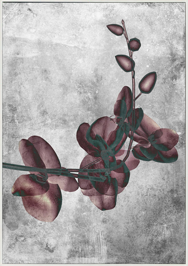 canvas_frame