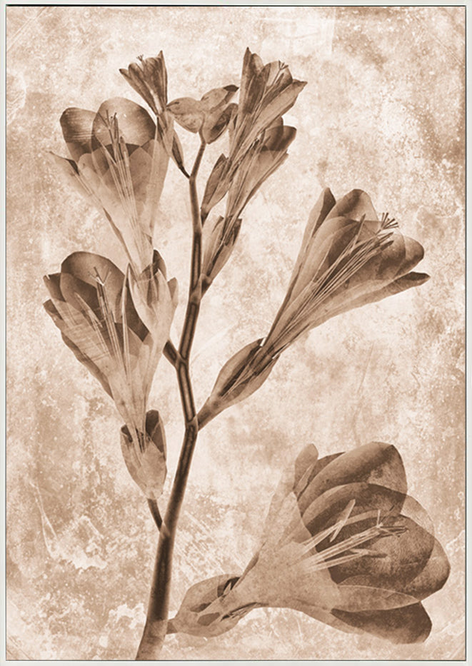 canvas_frame