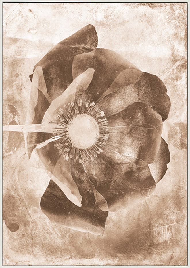 canvas_frame