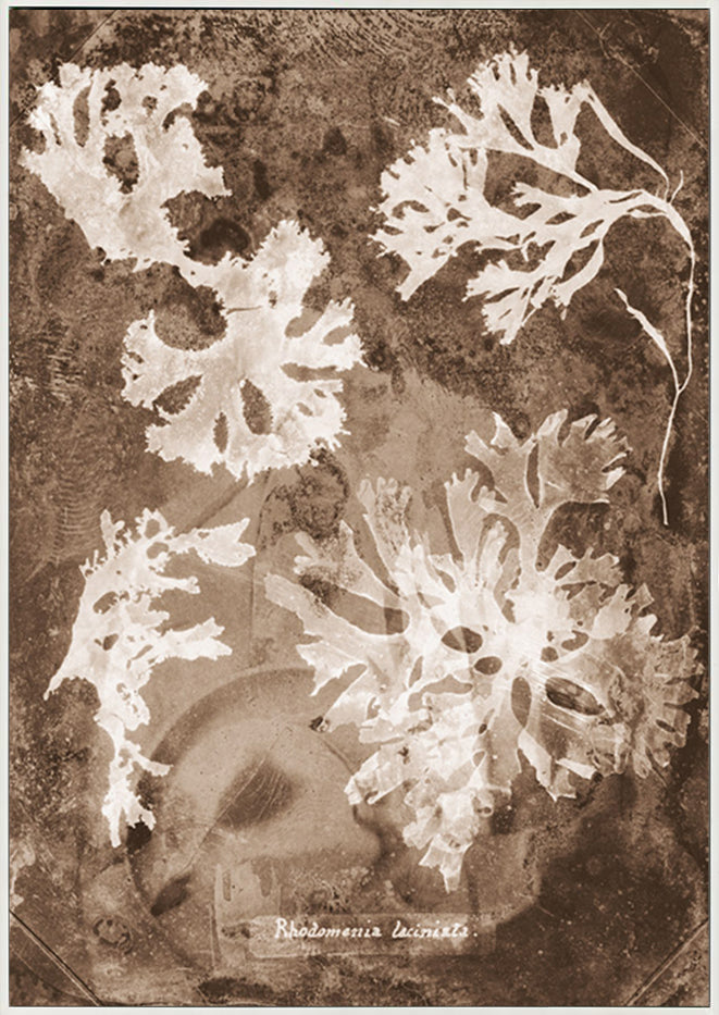 canvas_frame