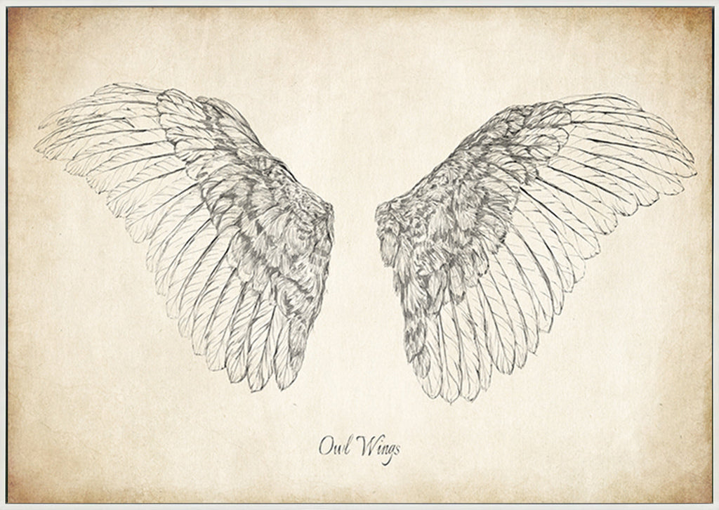 canvas_frame