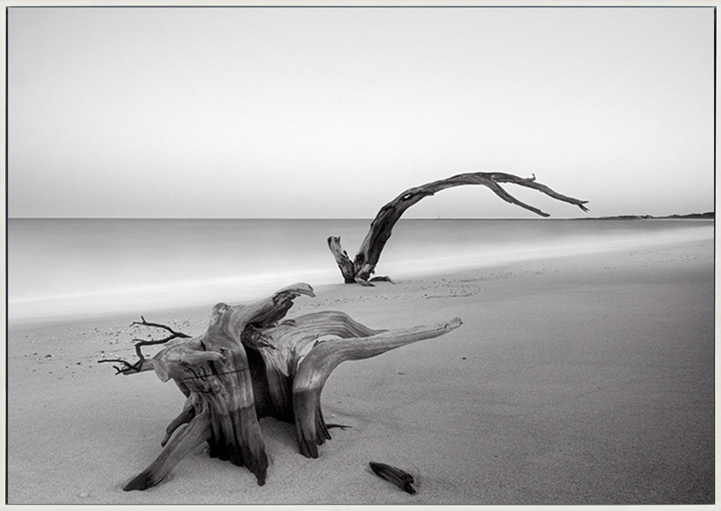 canvas_frame