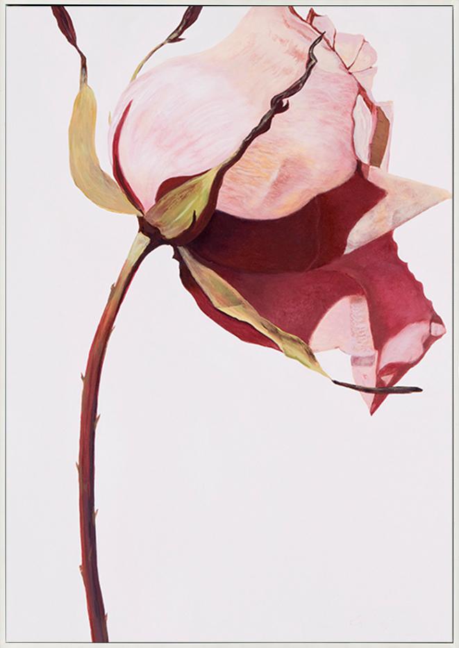 canvas_frame
