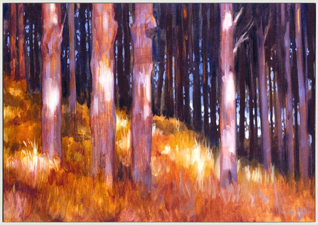 canvas_frame