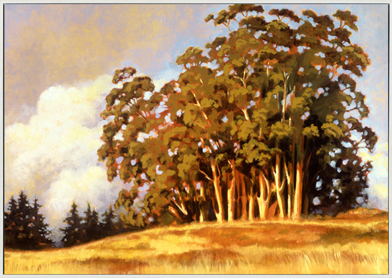 canvas_frame