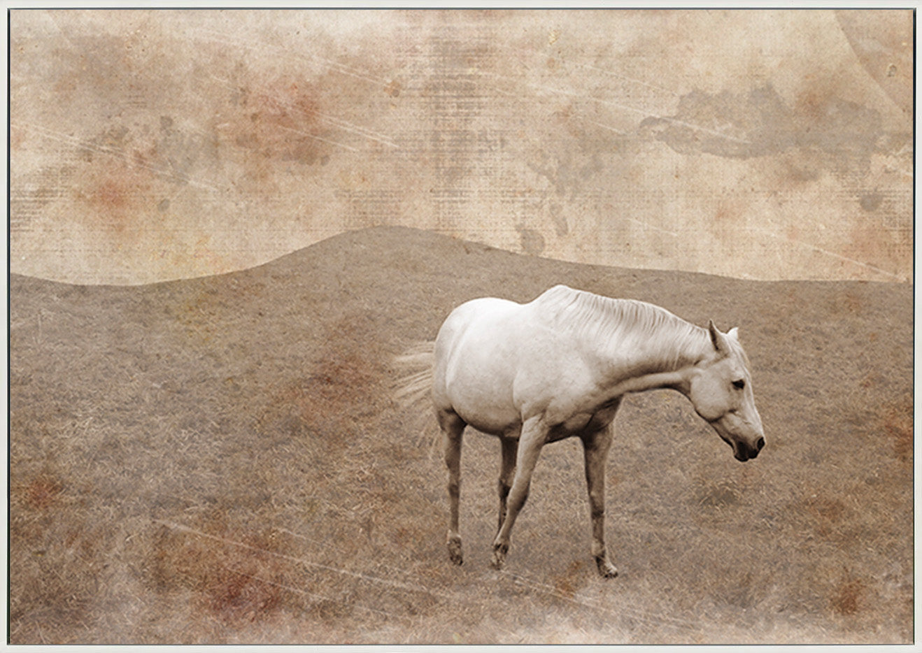 canvas_frame