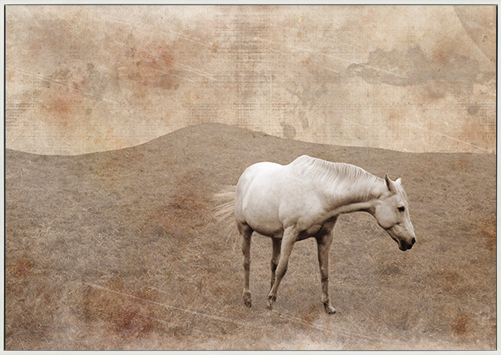 canvas_frame