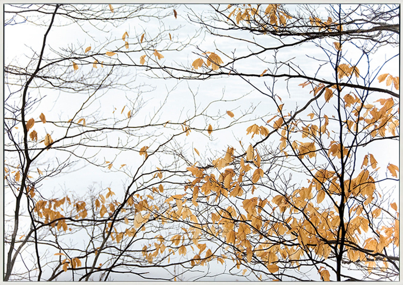 canvas_frame