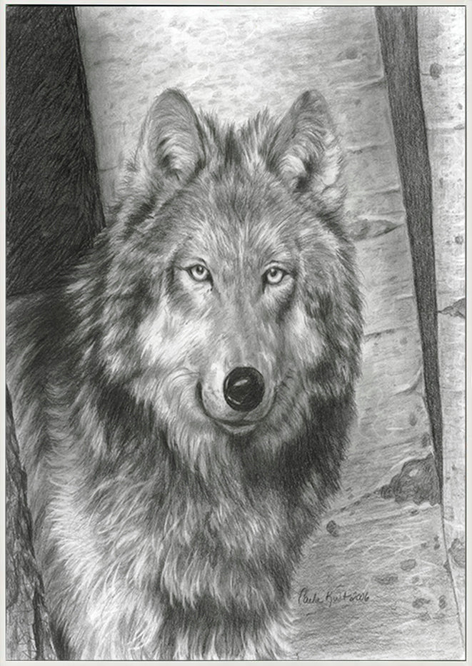 canvas_frame