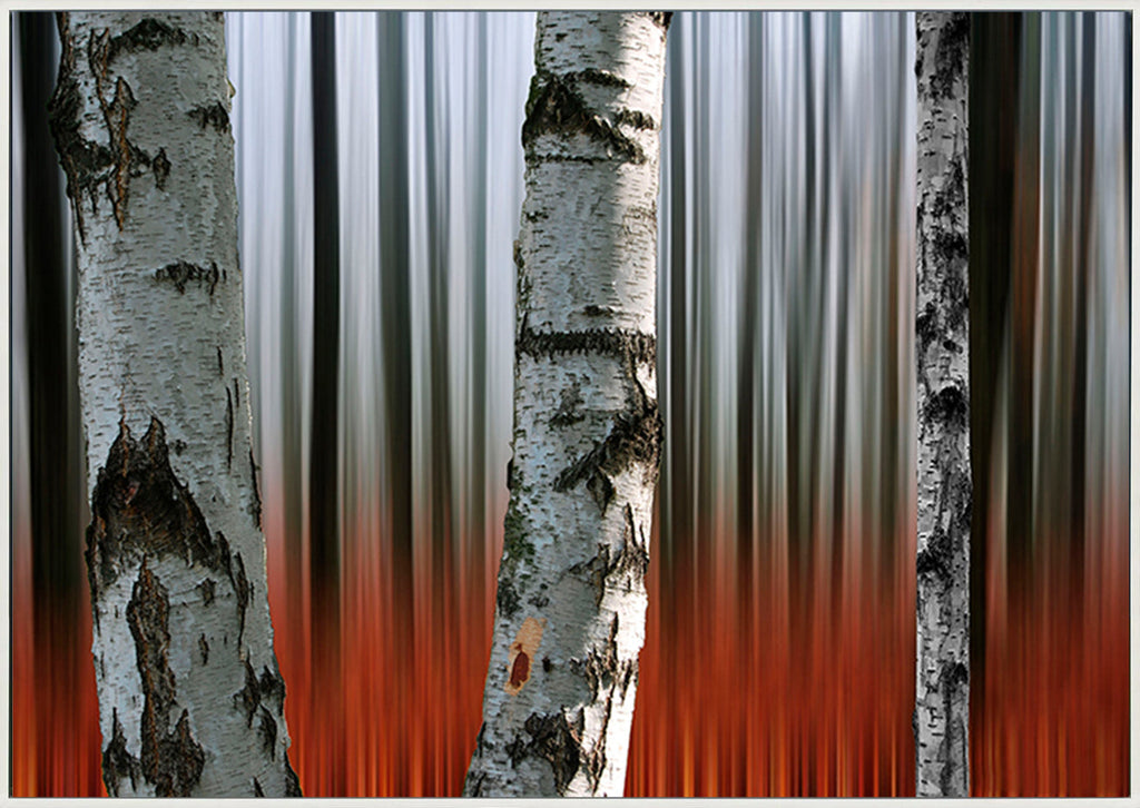 canvas_frame