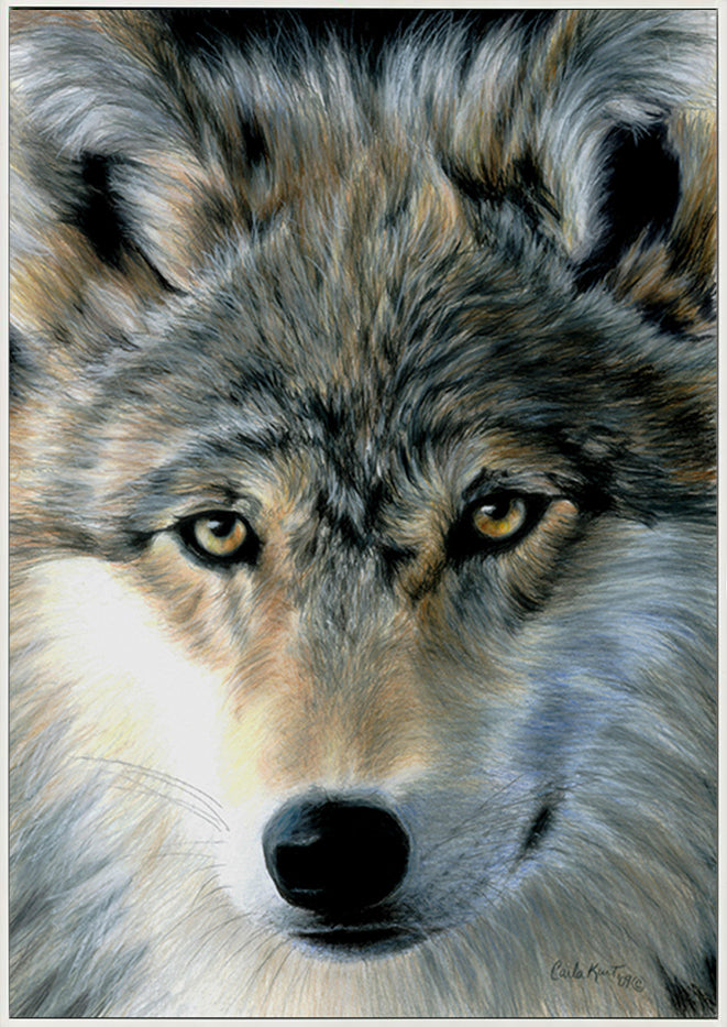 canvas_frame