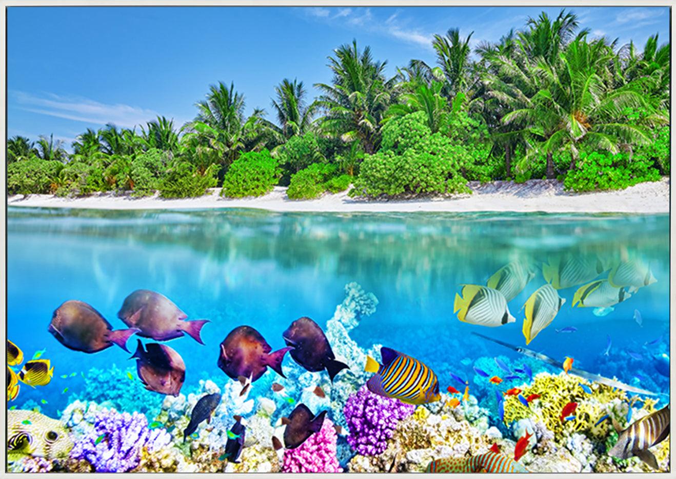 a17842819 Tropical Island And The Underwater World In The Maldives copy. Thoddoo Island - ArtFramed