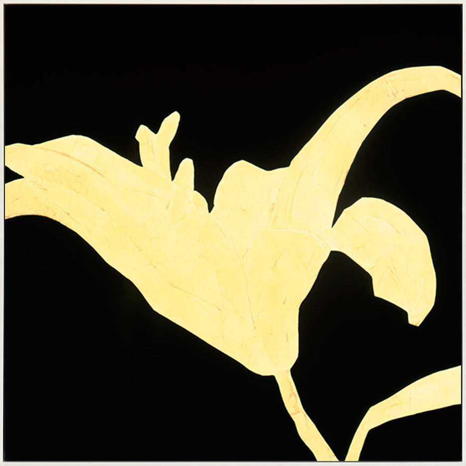 canvas_frame