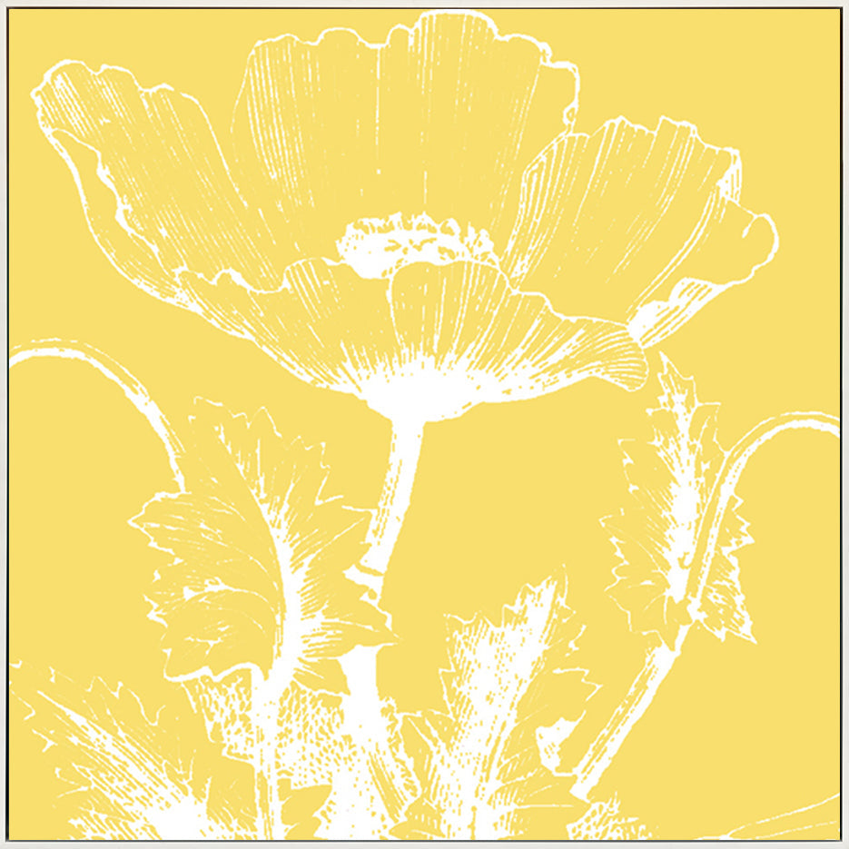 canvas_frame