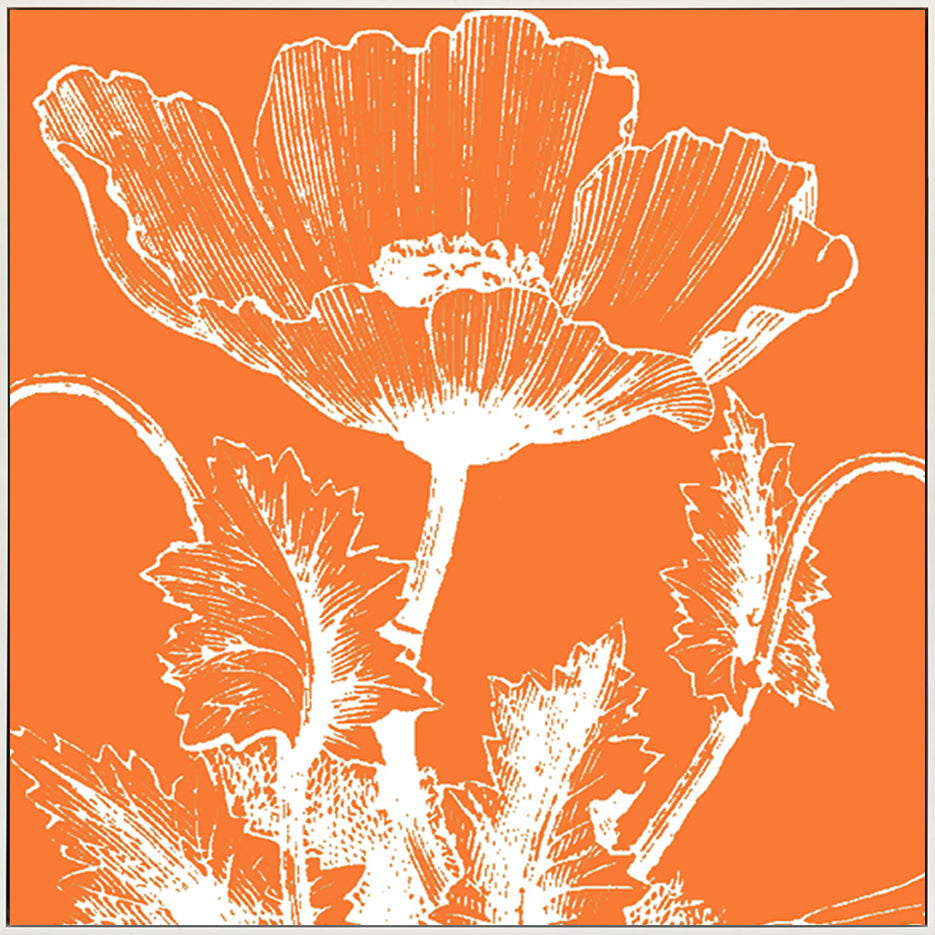 canvas_frame