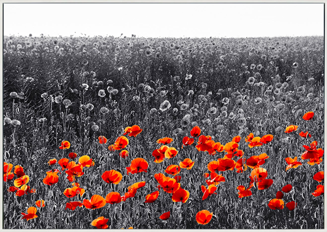 canvas_frame