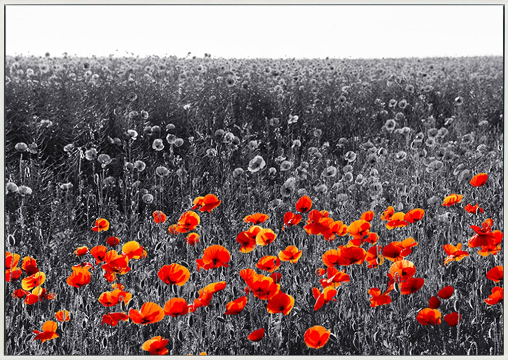 canvas_frame