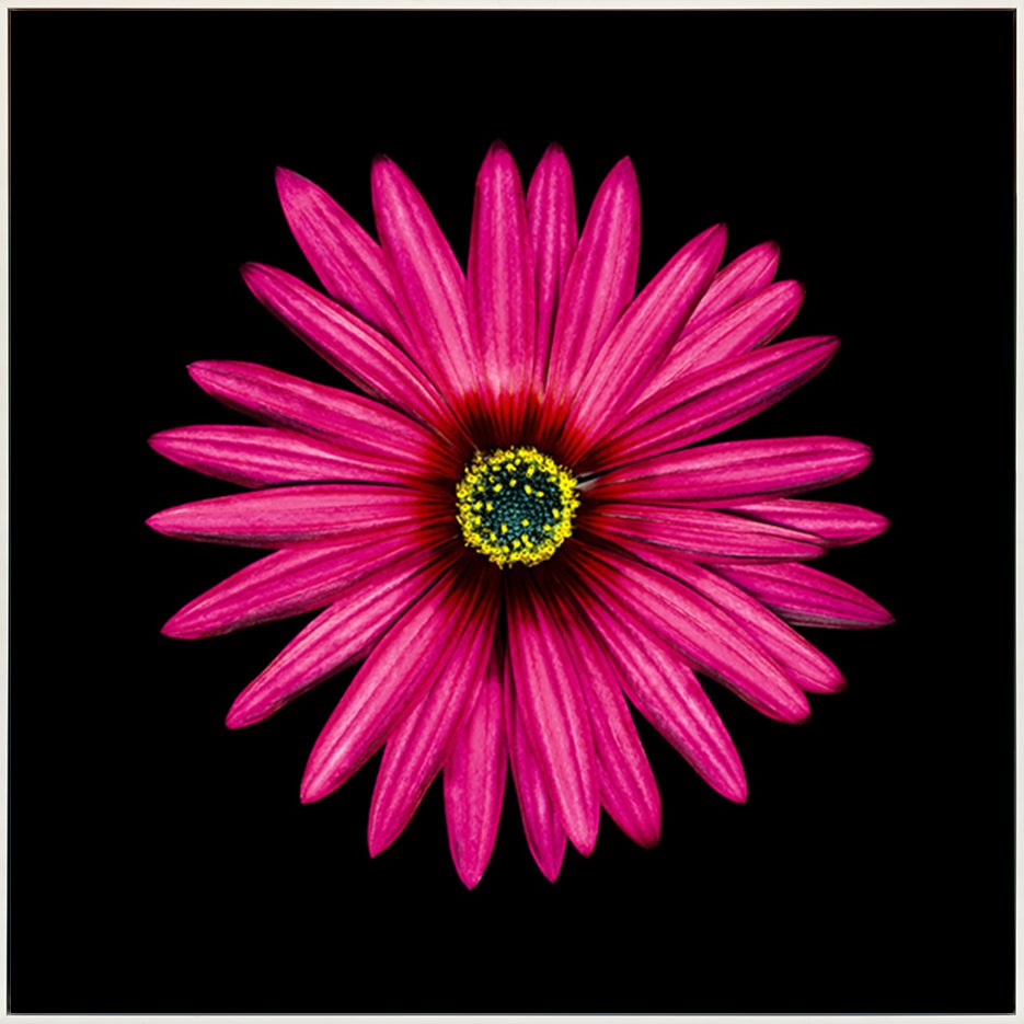 canvas_frame