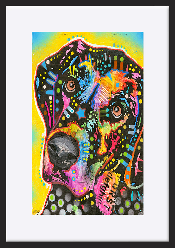 paper_frame