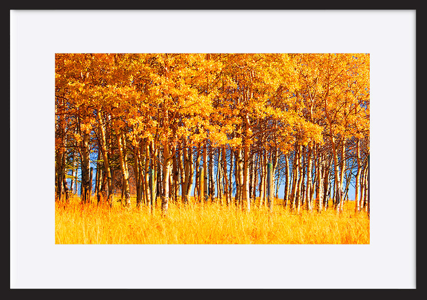 paper_frame
