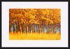 paper_frame