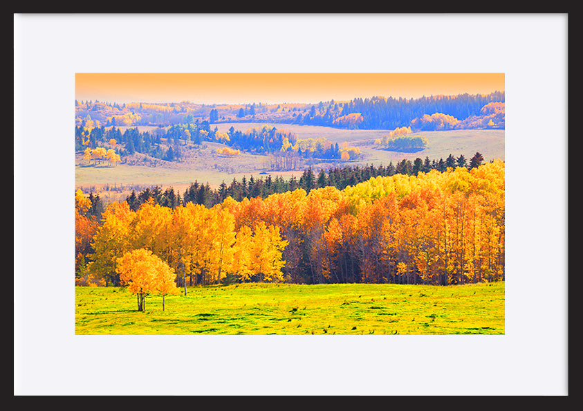 paper_frame