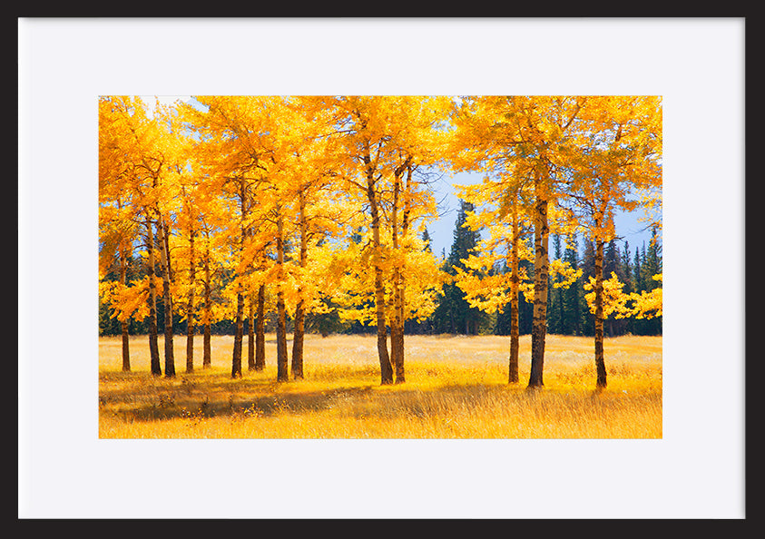 paper_frame
