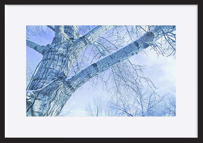 paper_frame