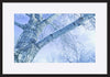 paper_frame