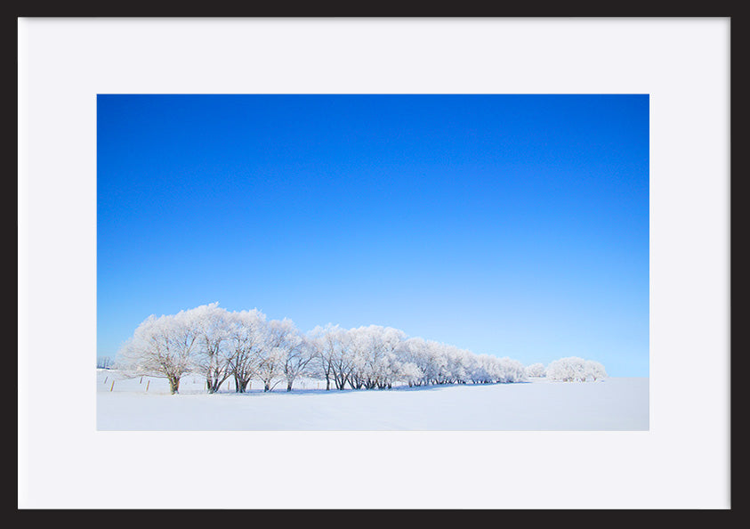 paper_frame