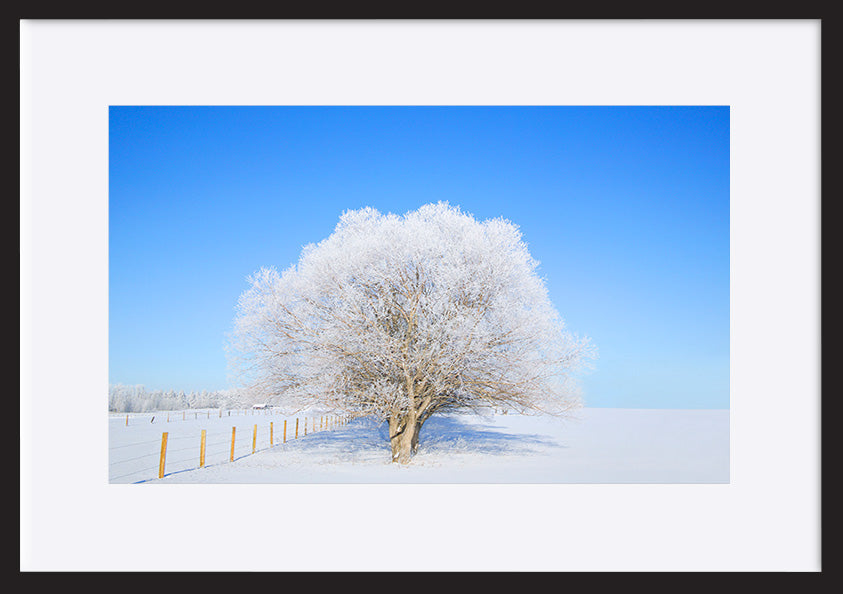 paper_frame