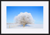 paper_frame