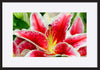 paper_frame