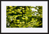 paper_frame