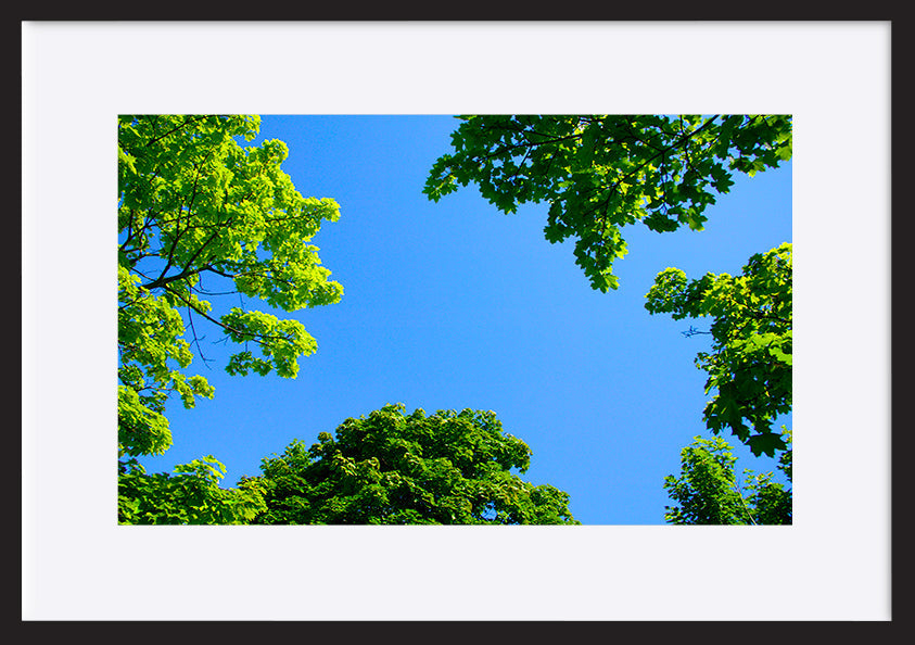 paper_frame