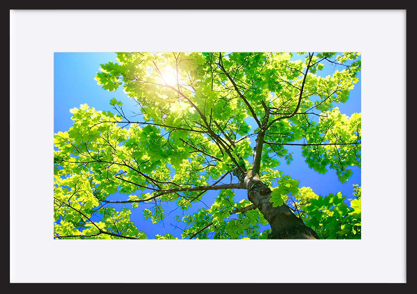 paper_frame