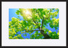paper_frame
