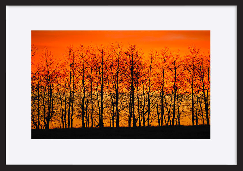 paper_frame