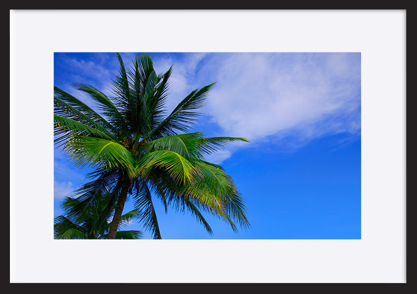 paper_frame